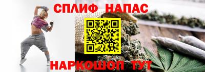 индика Будённовск