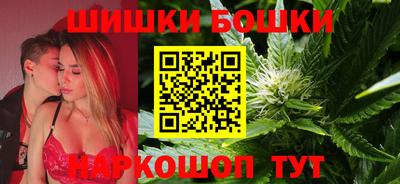 индика Будённовск