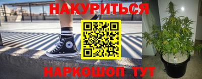 индика Будённовск
