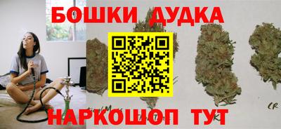 индика Будённовск